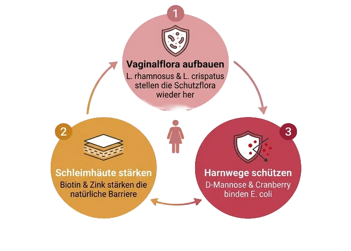 Triple Harmony Wirkungsweise Diagramm